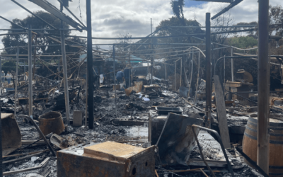 Fire Engulfs Homes at Ouskip Caravan Park in Melkbosstrand, Leaving Families in Desperation