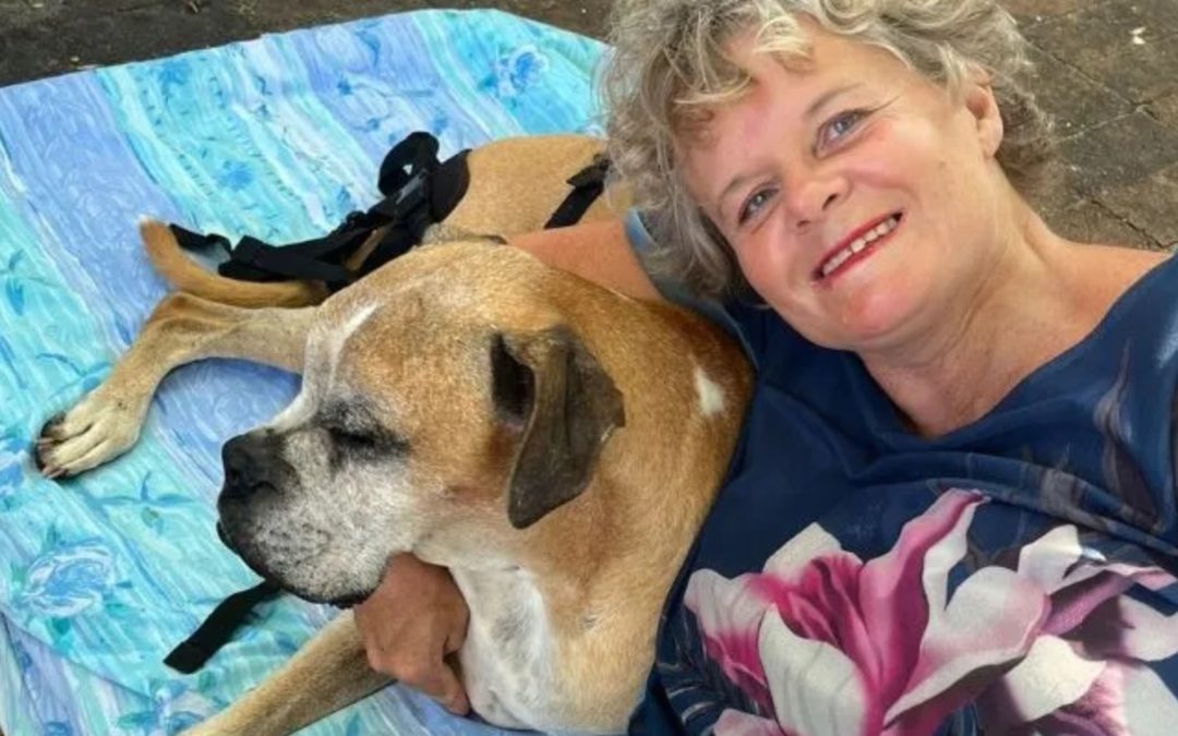 Dog Lover Greta Wilson Honours Late Friend and Raises Funds for Animal Welfare