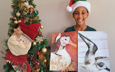 12-year-old Eco-Champion Romario Launches Festive Fundraiser to Save Marion Island’s Precious Seabirds