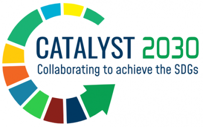 Join the Movement: Catalyst 2030