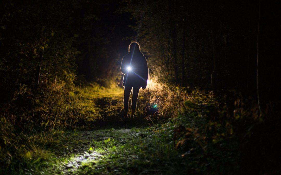 Staying Safe on the Trails: Avoiding After-Dark Hiking Dangers in the Western Cape