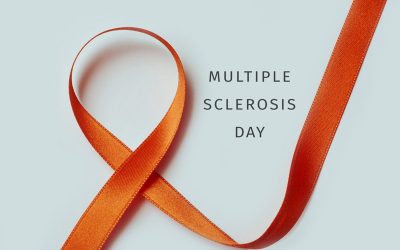 Your Guide to MS Support Services in South Africa