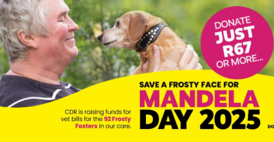 Mandela Day Magic: NPO Raises R43,000 to Bring Elderly Dogs and Senior Citizens Together