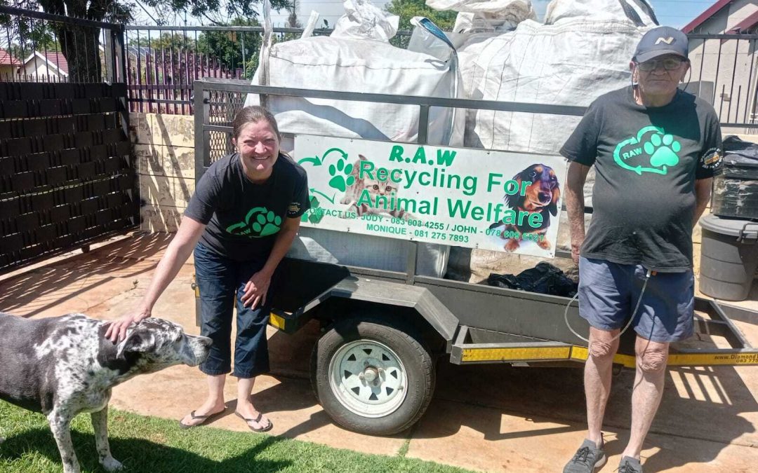 From a Dying Puppy to a Lifesaving Mission: Johannesburg Couple Turns Recycling Into Rescue Work — and Launches a Campaign in Honour of Their First Rescue, Paul