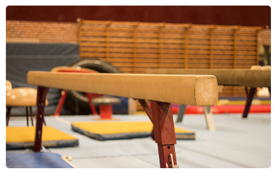 Talented young gymnast from Fourways seeks community support for international competition