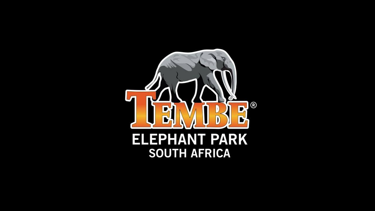 Tembe Elephant Park Logo A large elephant walking through the sand forest landscape logoof Tembe Elephant Park in northern KwaZulu-Natal.