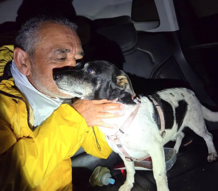 Pepper the terrier reunited with owner Erwin Moses after an 11-day search on Table Mountain.